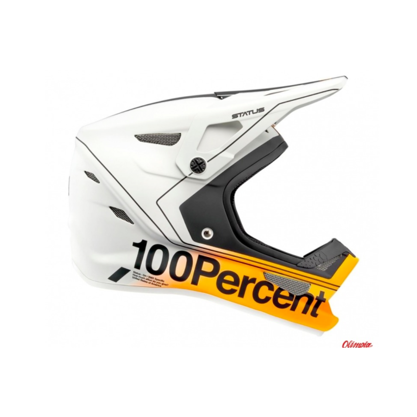 Kask full face 100% STATUS DH/BMX Helmet Carby Silver