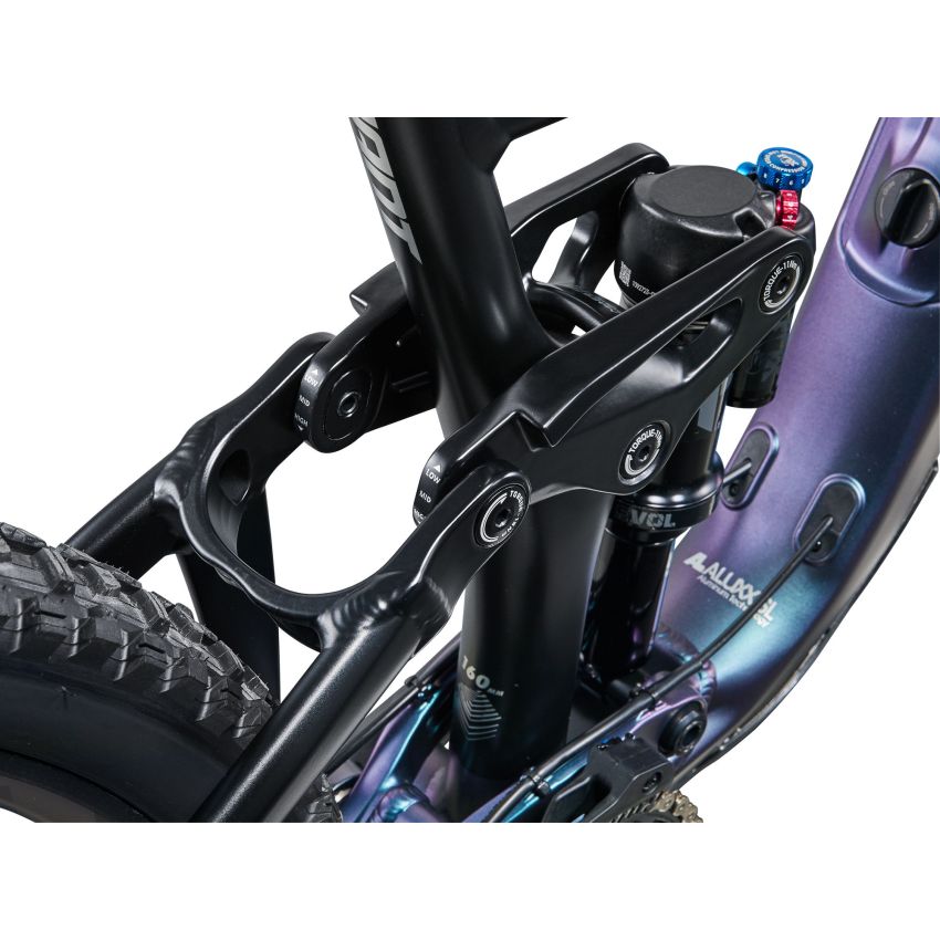 Giant Reign 1
