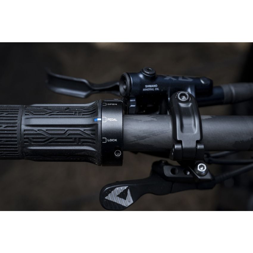 Giant Anthem Advanced SL 2
