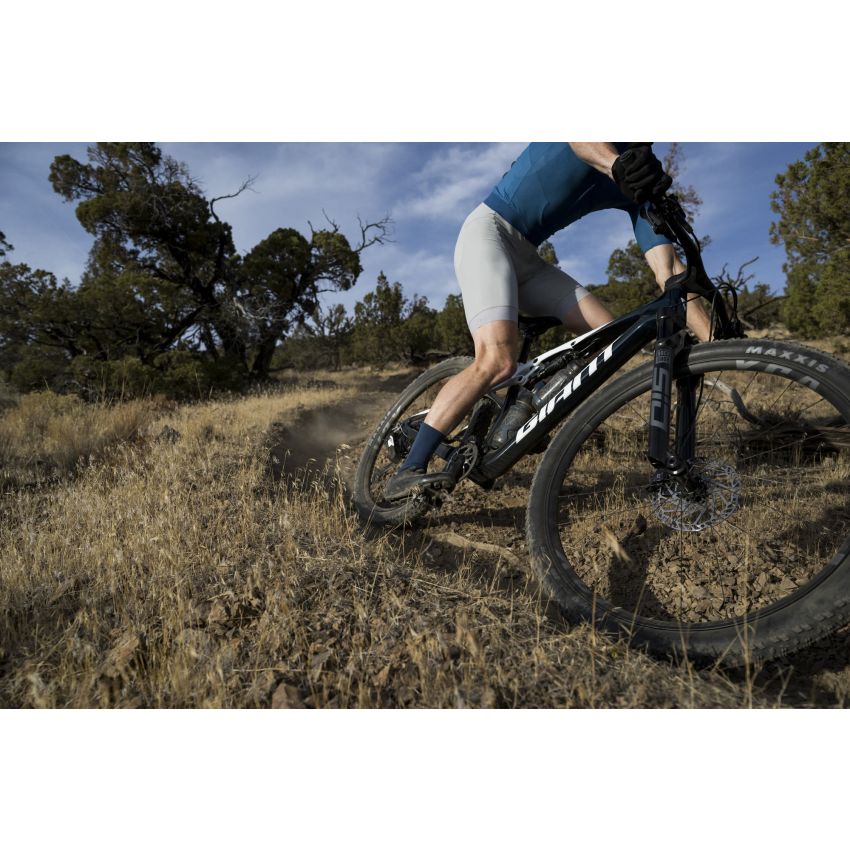 Giant Anthem Advanced SL 2