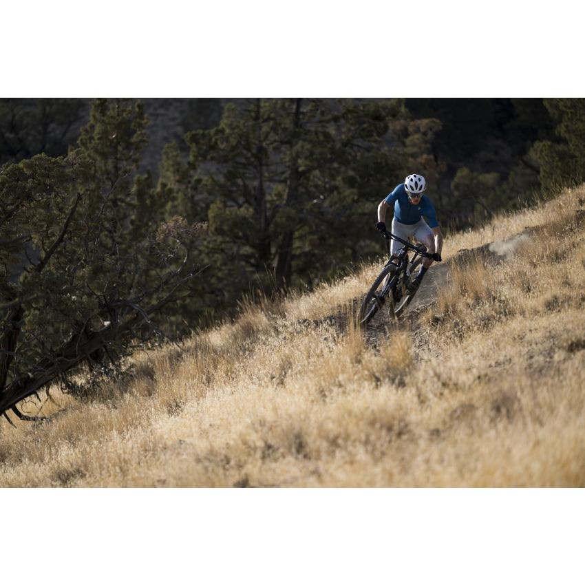 Giant Anthem Advanced SL 2