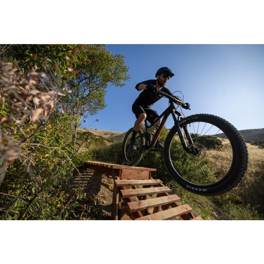 Giant Stance 29 1
