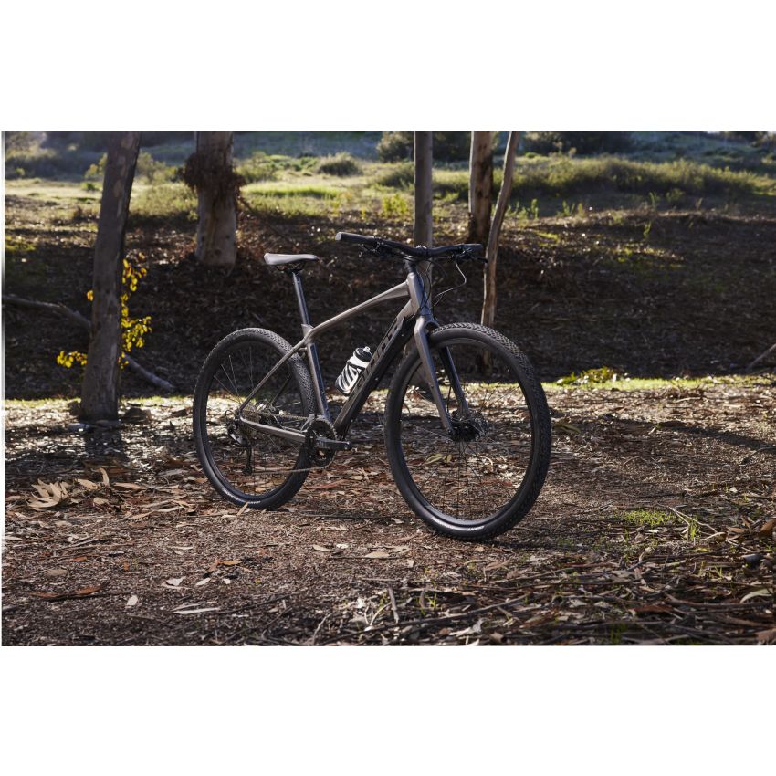 Giant ToughRoad SLR 2