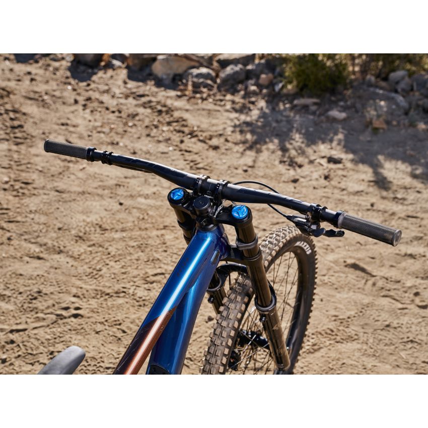 Giant Reign SX