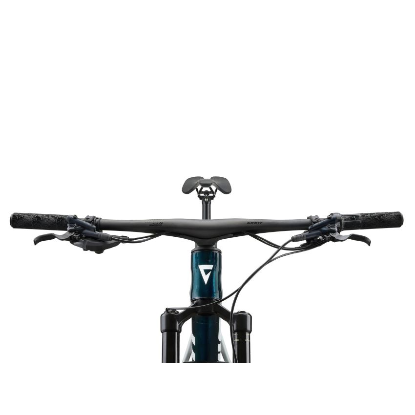 Giant Anthem Advanced SL 2