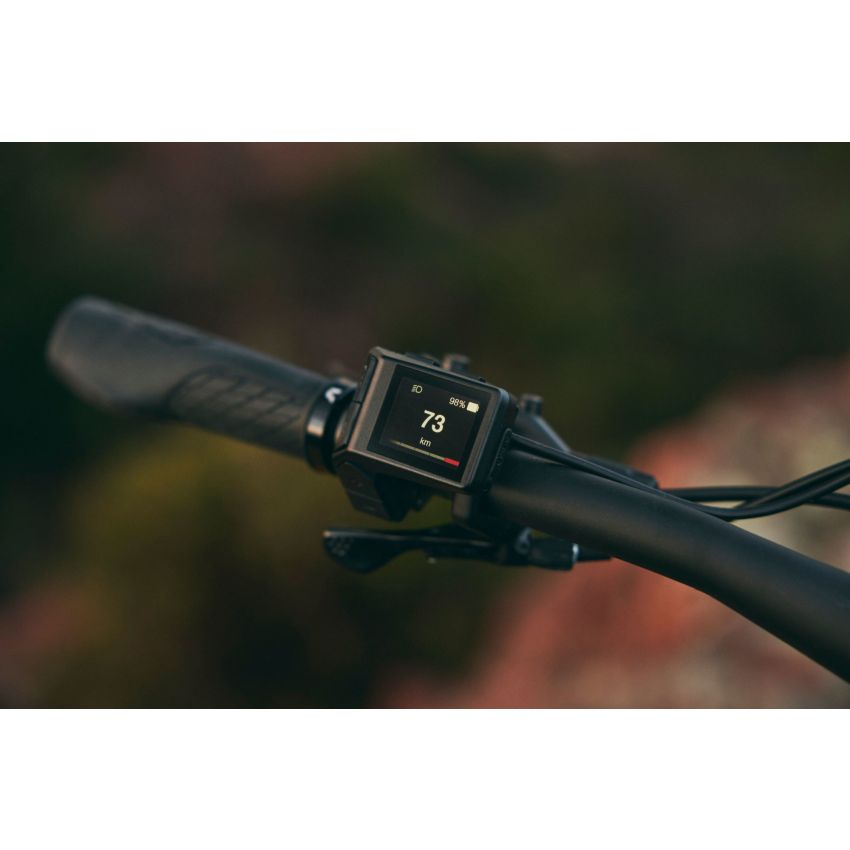 Liv Embolden E+ 2 625