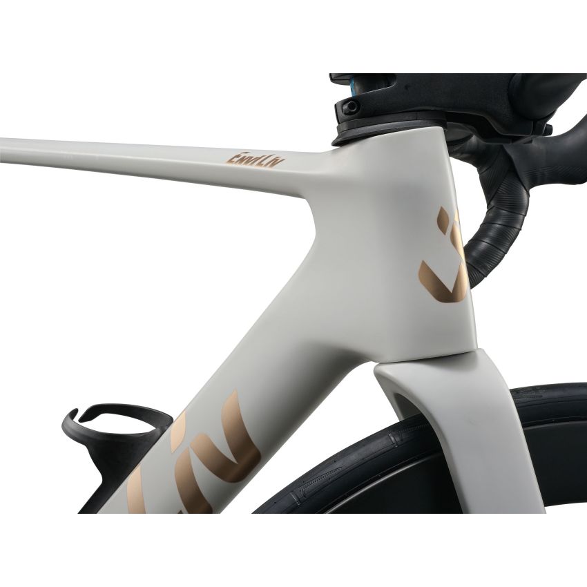 Liv EnviLiv Advanced 1