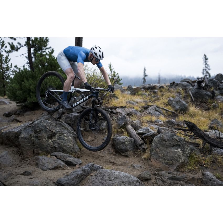 Giant Anthem Advanced SL 2