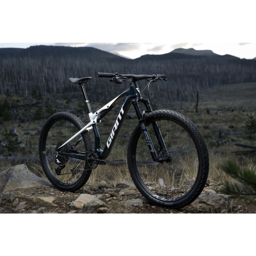 Giant Anthem Advanced SL 2