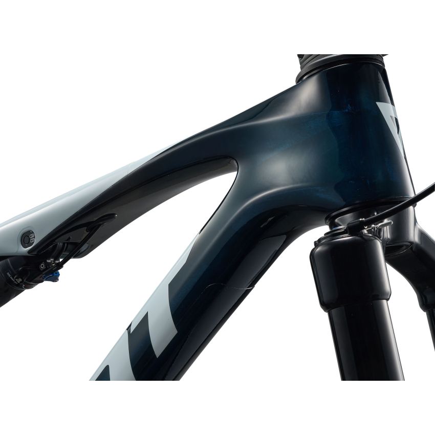 Giant Anthem Advanced SL 2