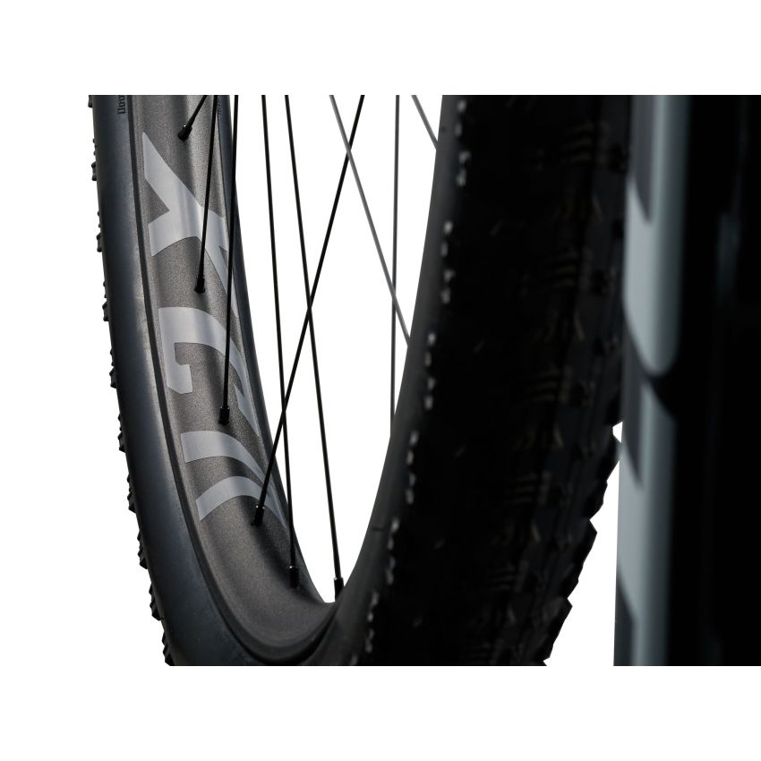 Giant Anthem Advanced SL 2
