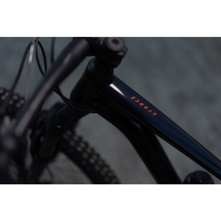 Giant Stance 29 1