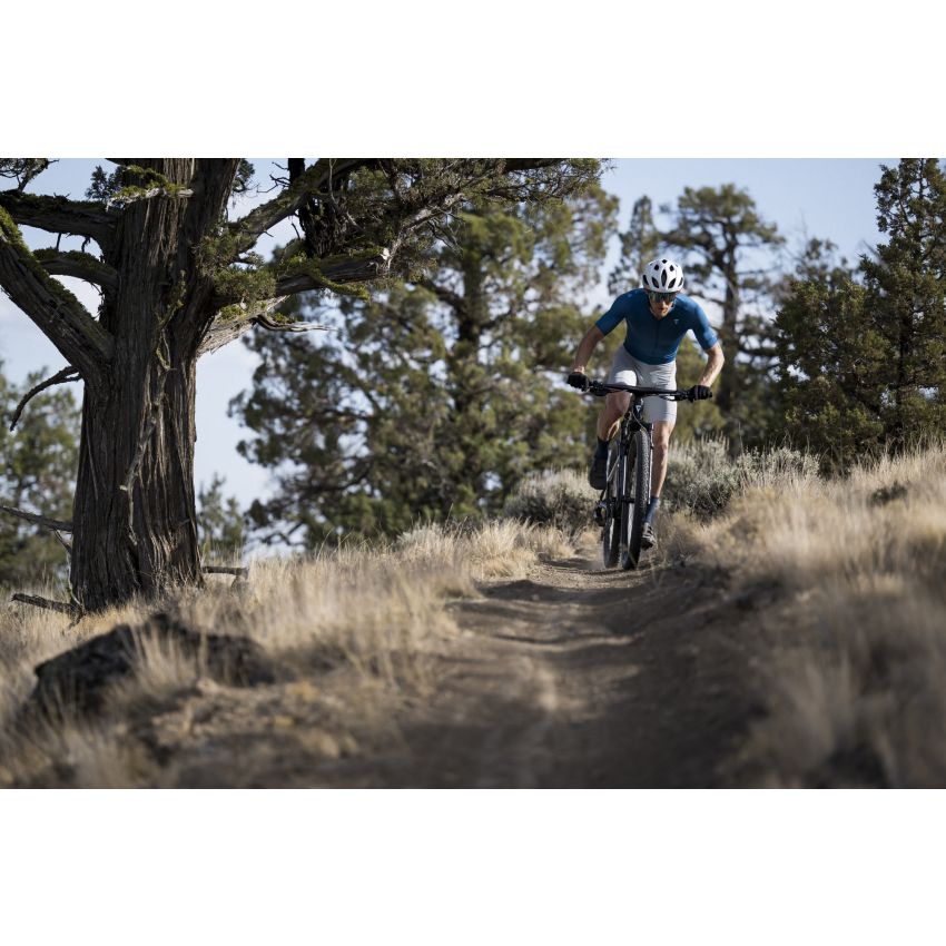 Giant Anthem Advanced SL 2