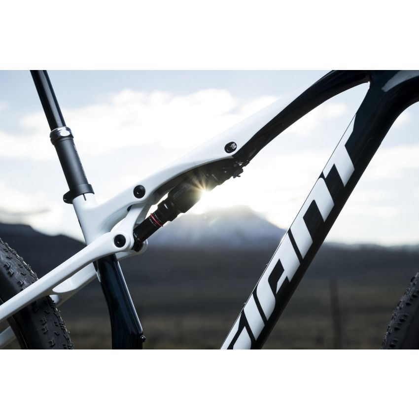 Giant Anthem Advanced SL 2