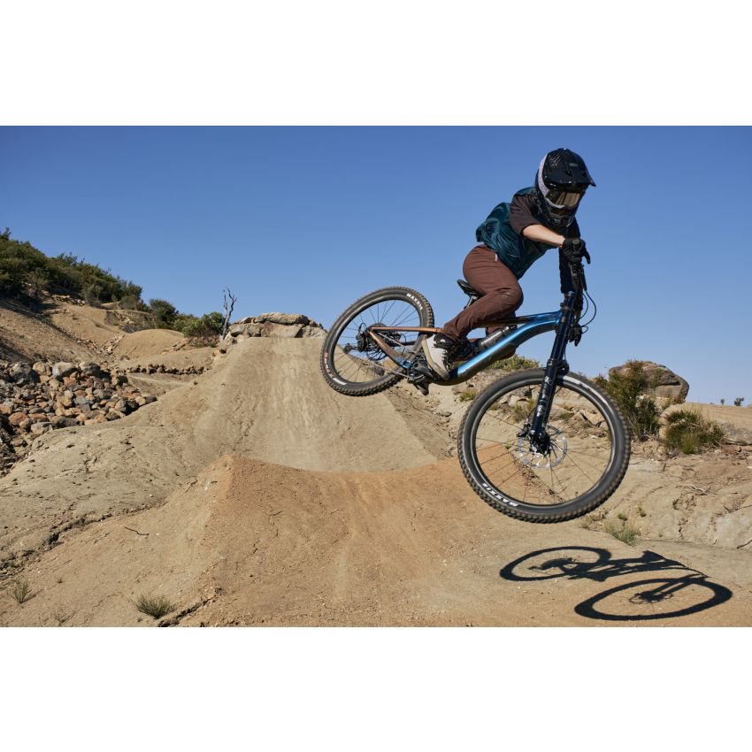 Giant Reign SX
