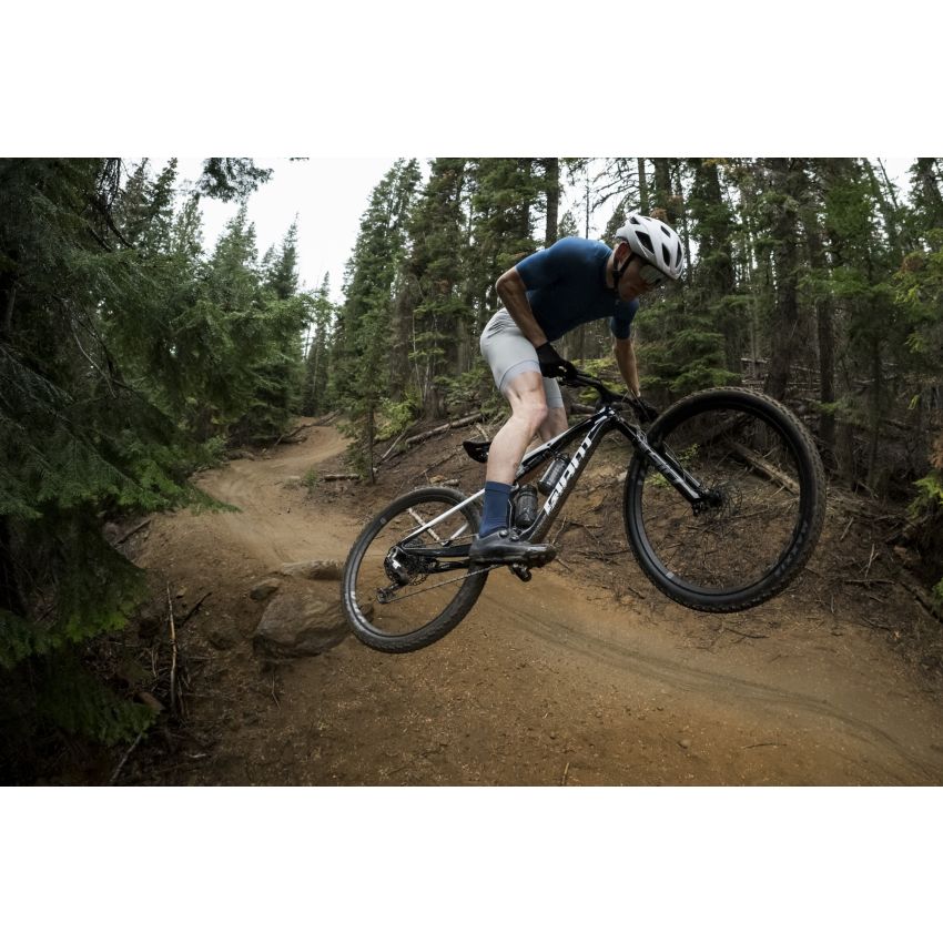 Giant Anthem Advanced SL 2