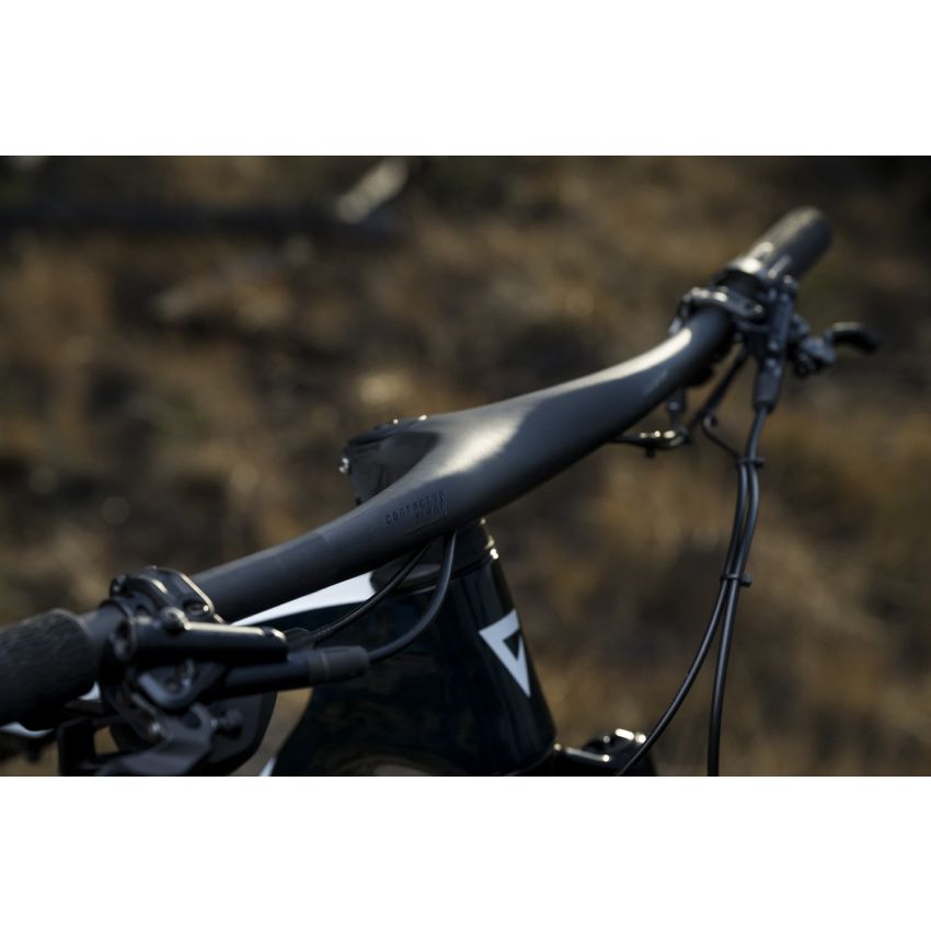 Giant Anthem Advanced SL 2