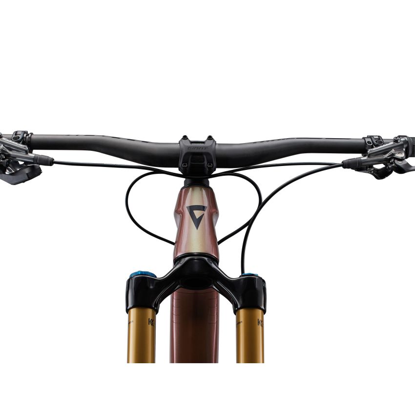 Giant Reign Advanced Pro 0