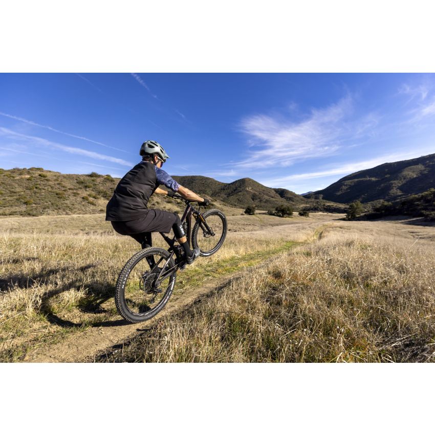 Giant Trance Advanced Pro 29 1