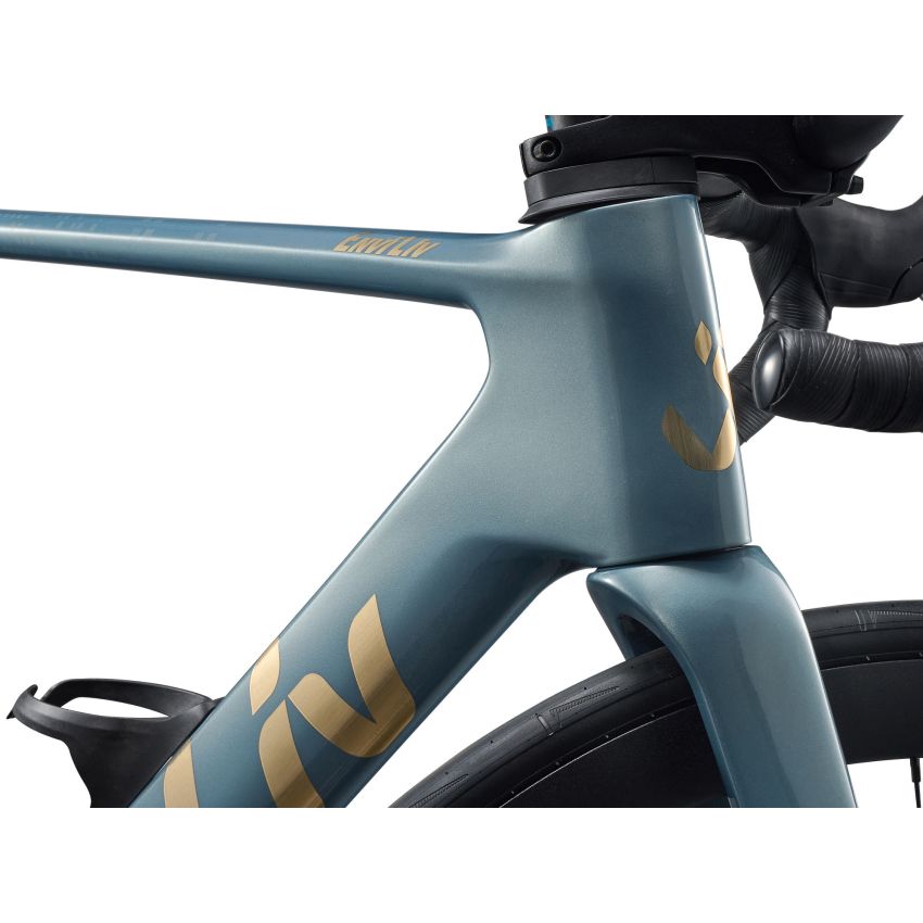 Liv EnviLiv Advanced 2