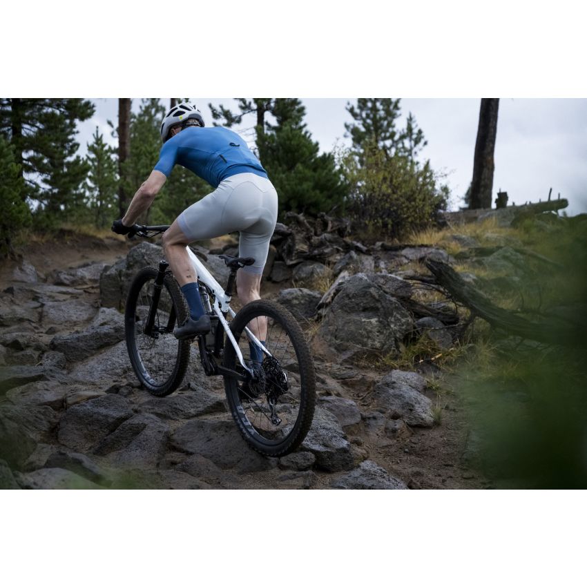 Giant Anthem Advanced SL 2