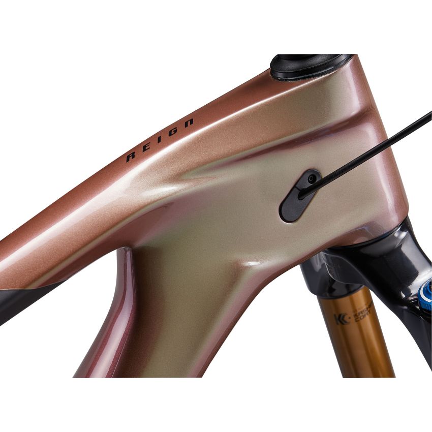 Giant Reign Advanced Pro 0