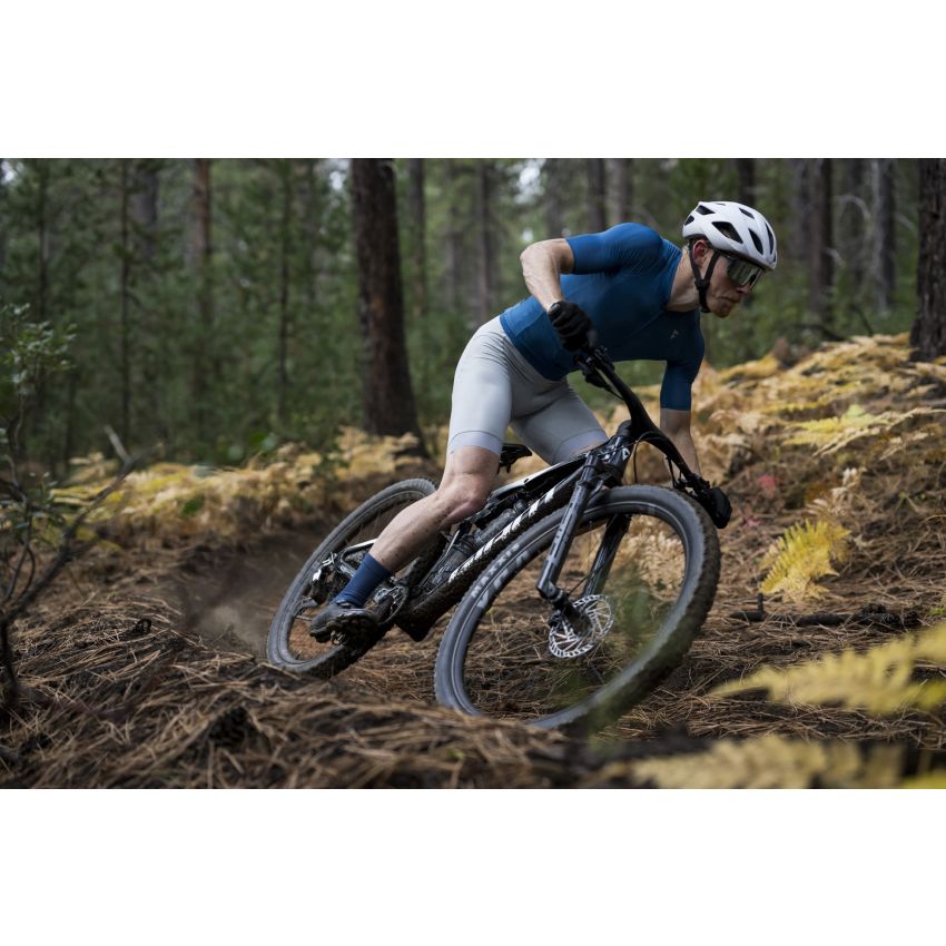Giant Anthem Advanced SL 2