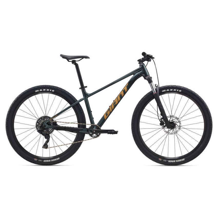 Rower GIANT Talon 2 Asphalt Green
