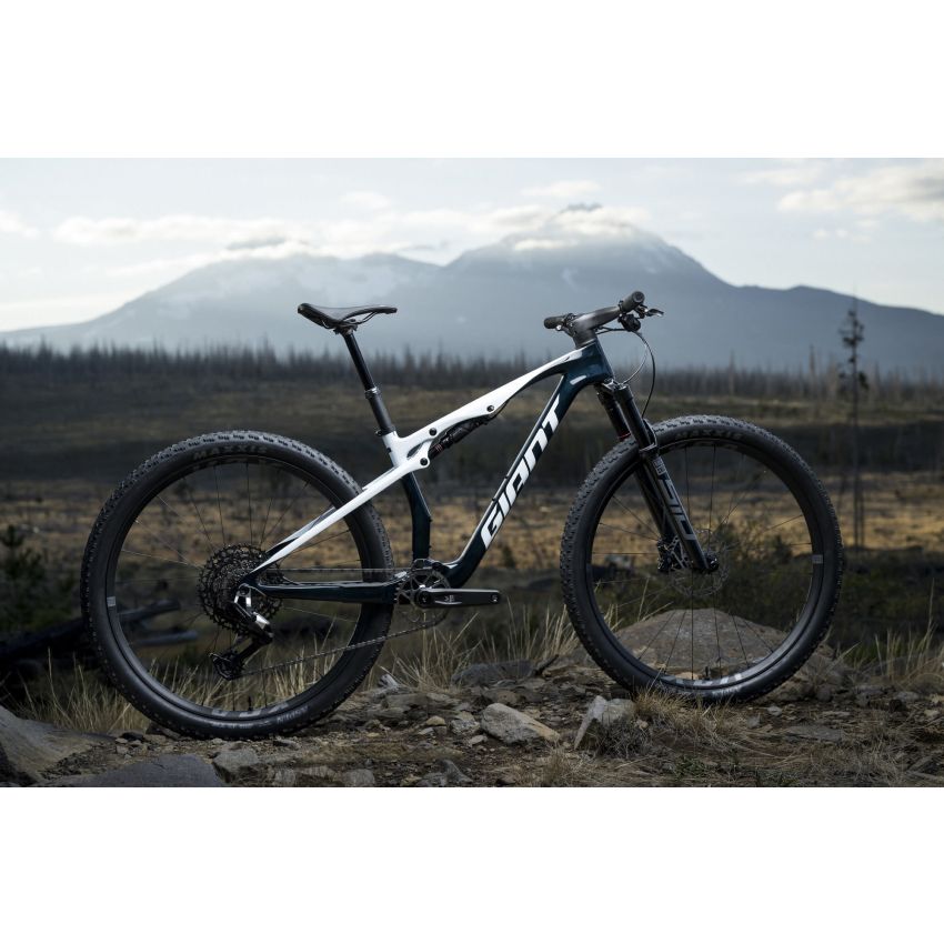 Giant Anthem Advanced SL 2