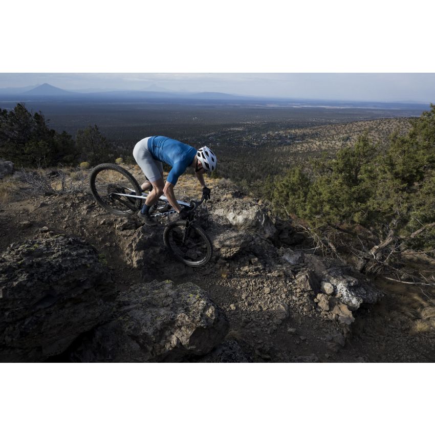 Giant Anthem Advanced SL 2