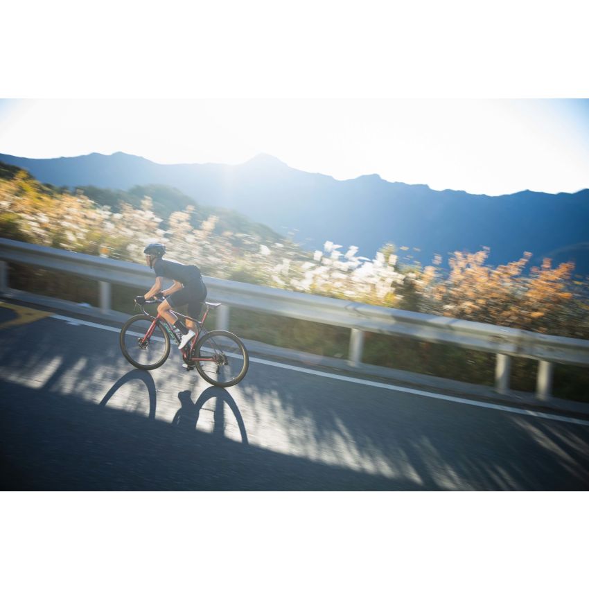 Giant TCR Advanced SL 0 DA