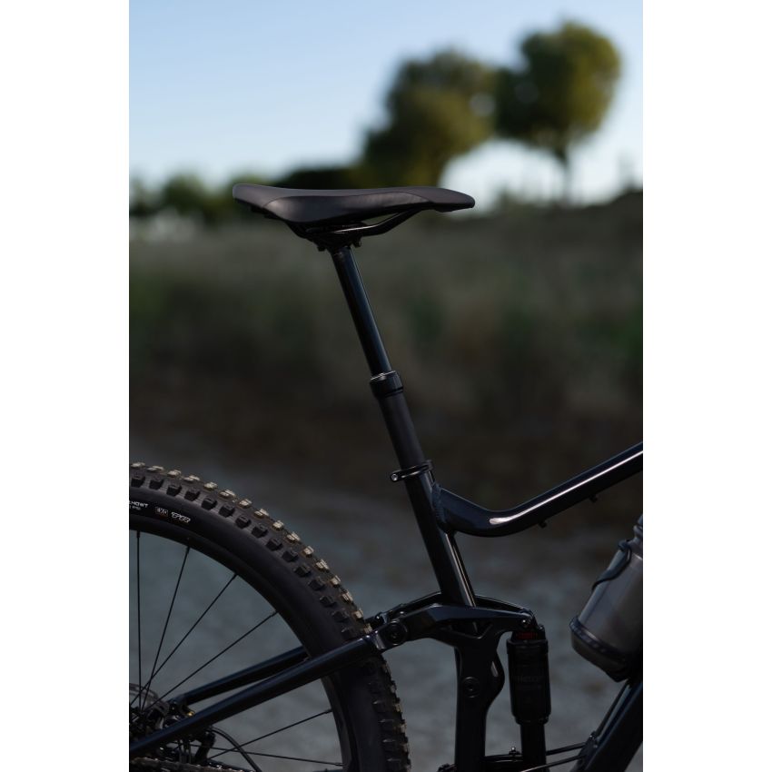 Giant Stance 29 1