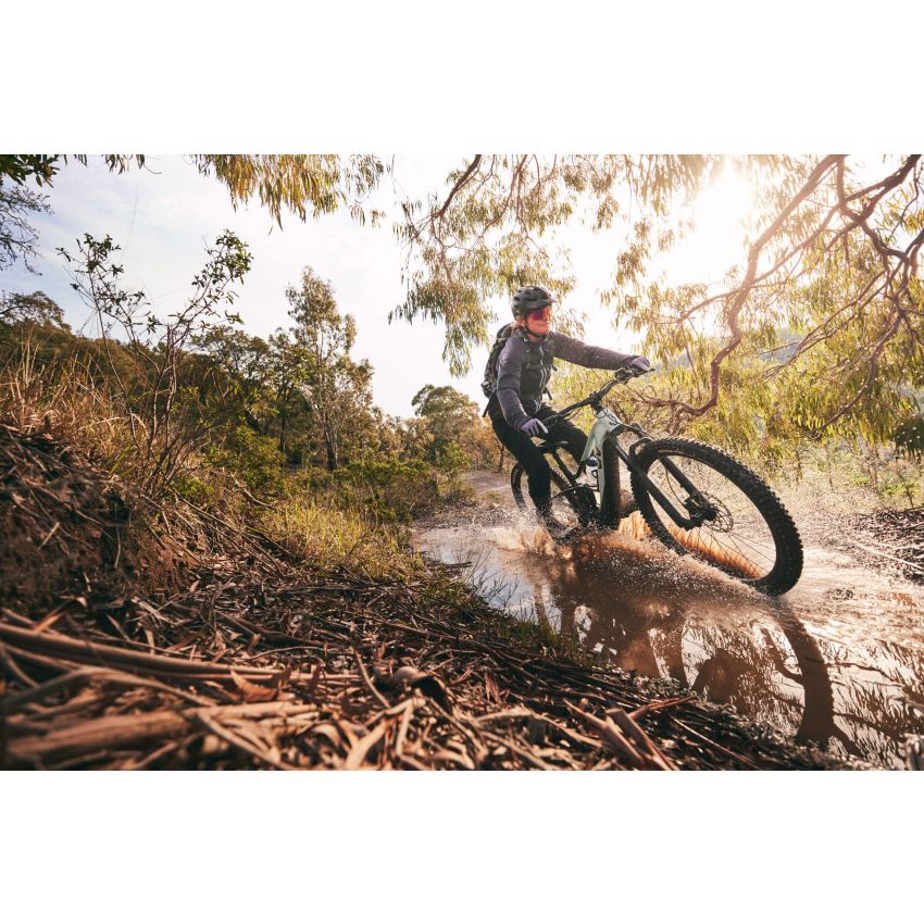 Liv Embolden E+ 2 625