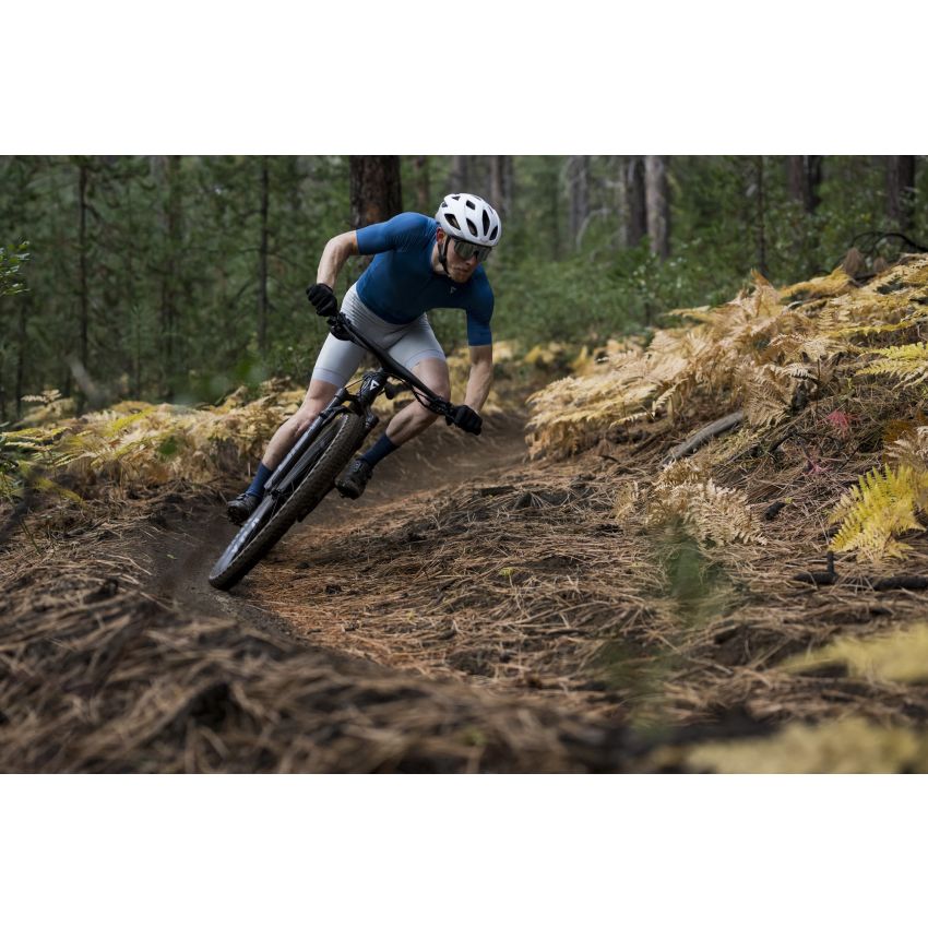 Giant Anthem Advanced SL 2