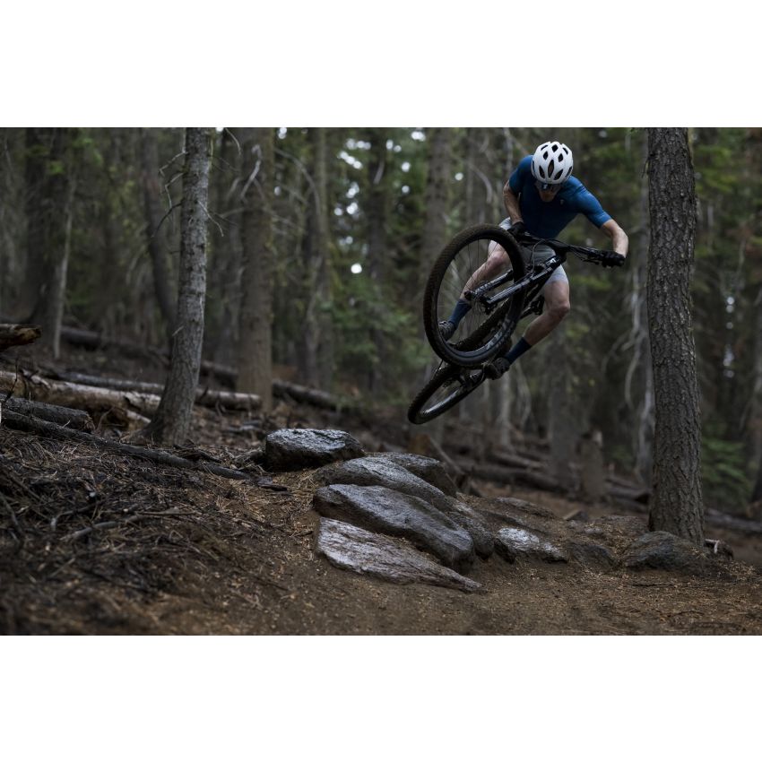 Giant Anthem Advanced SL 2