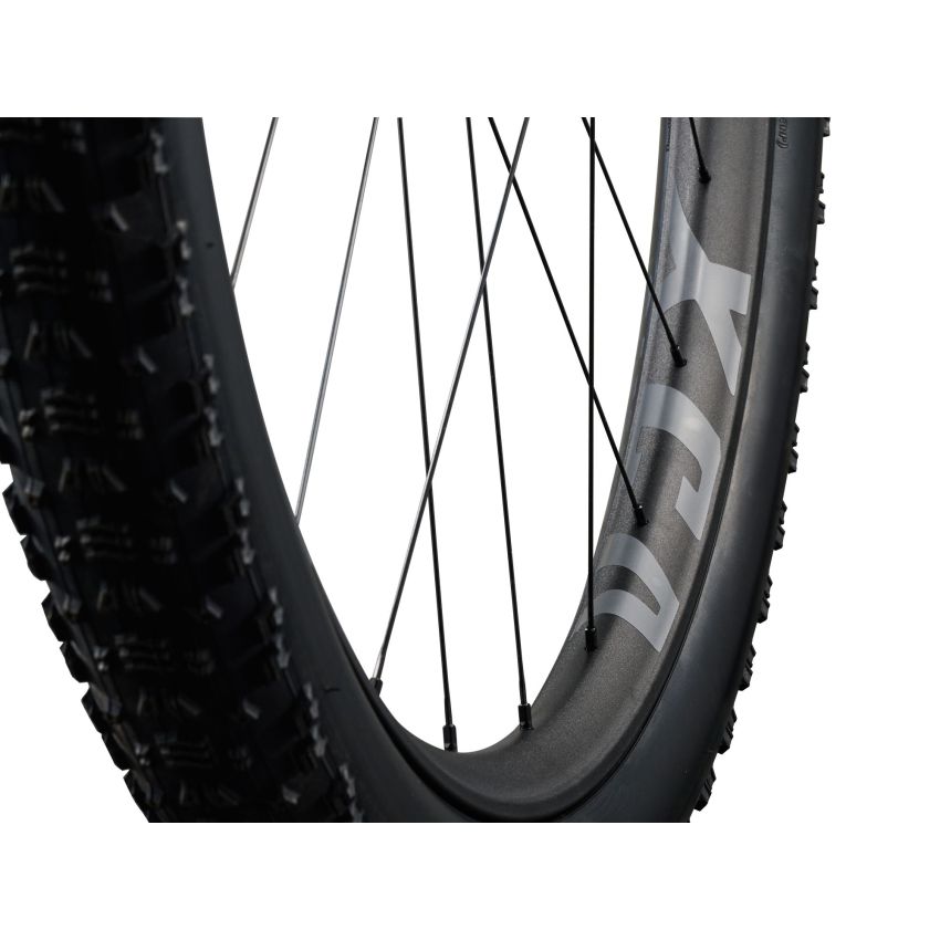 Giant Anthem Advanced SL 2