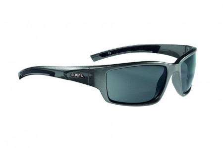 ALPINA okulary Keekor kolor tin-black szkło C S3