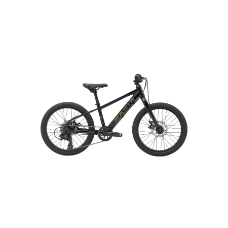 Rower Marin Bayview Trail Black Gold 20"