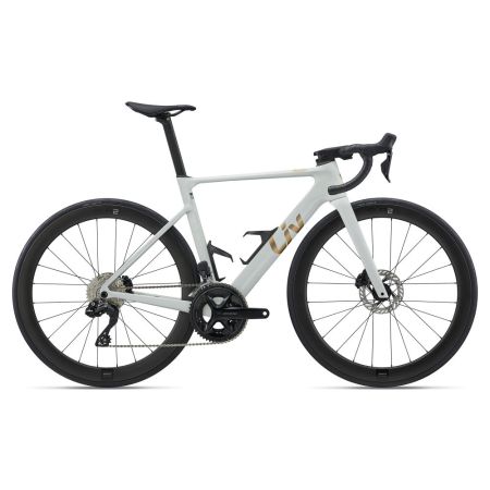 Liv EnviLiv Advanced 1