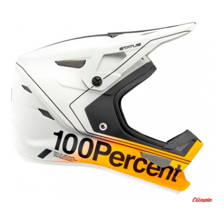 Kask full face 100% STATUS DH/BMX Helmet Carby Silver