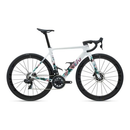 Liv EnviLiv Advanced SL LTD