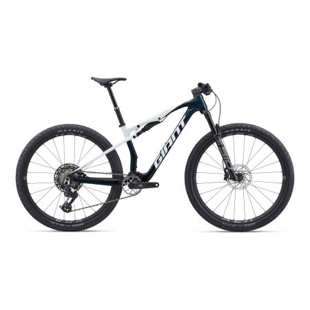 Giant Anthem Advanced SL 2