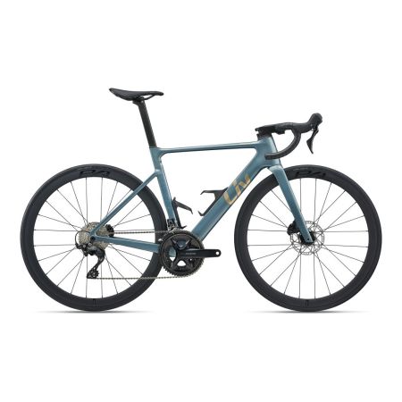 Liv EnviLiv Advanced 2