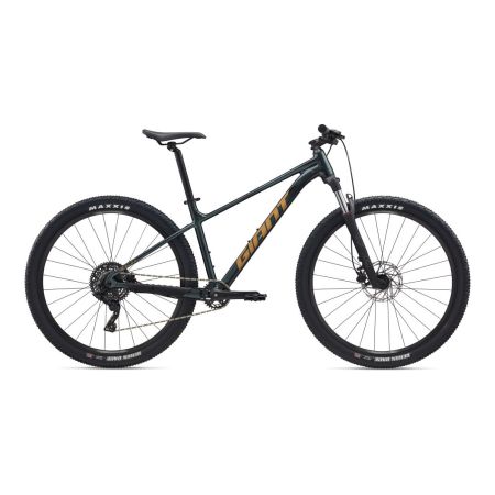 Rower GIANT Talon 2 Asphalt Green
