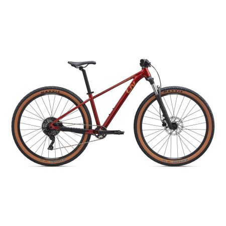 Rower LIV Tempt 2 Mars Dust