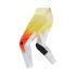 Fox Spodnie Motocyklowe  180 Air Haze White 32