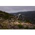 Giant Trance X 1