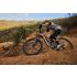 Giant Trance X 1