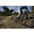 Giant Anthem Advanced SL 2