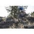 Giant Anthem Advanced SL 2